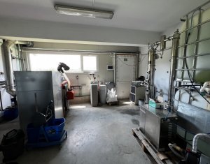 Espace Industriel à vendre dans Baciu