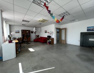 Espace Industriel à vendre, 768m2 dans Baciu