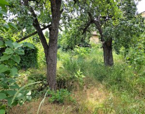 Terrain à vendre dans Cluj-napoca, zone Gheorgheni
