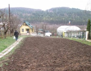 Terrain à vendre dans Floresti