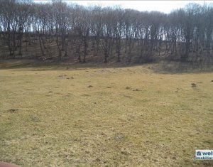 , 5800m2 dans Floresti