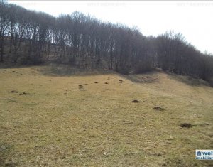 Terrain à vendre dans Floresti