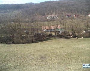 Terrain à vendre dans Floresti