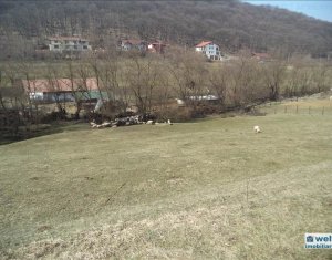 Terrain à vendre dans Floresti
