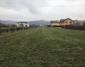 , 3300m2 dans Floresti