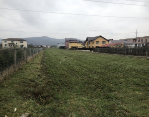 Terrain à vendre dans Floresti