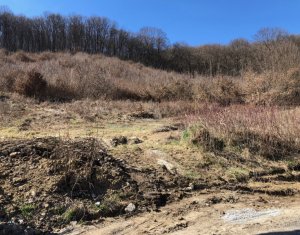 , 600m2 dans Floresti