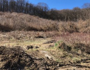 Terrain à vendre dans Floresti