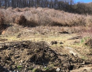 Terrain à vendre dans Floresti