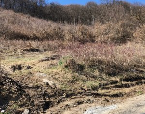 Terrain à vendre dans Floresti