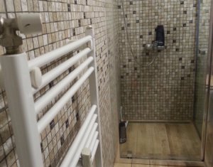 Appartement 2 chambres à louer dans Cluj-napoca, zone Grigorescu