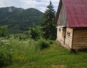 Maisons de vacances à vendre, zone Centru
