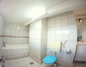 Appartement 1 chambres à louer dans Cluj-napoca, zone Centru