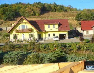 , 250m2 on Floresti