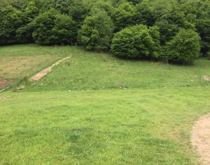 , 565m2 dans Floresti