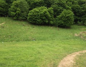 Terrain à vendre dans Floresti