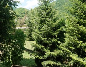 Maisons de vacances à vendre dans Tarnita