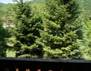 Maisons de vacances à vendre dans Tarnita
