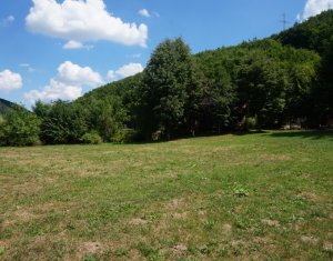 Maisons de vacances à vendre dans Tarnita