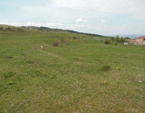 , 570m2 dans Floresti