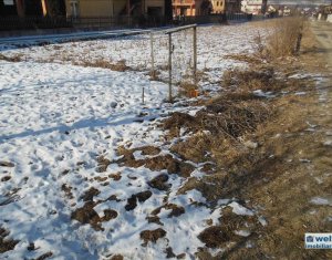 , 600m2 on Floresti