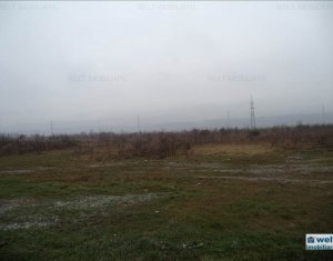 , 1000m2 on Floresti