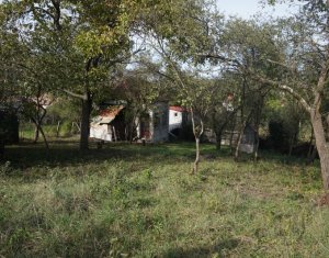 Maison 1 chambres à vendre dans Vlaha