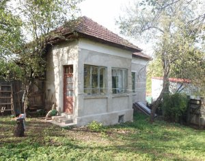 Maison 1 chambres à vendre dans Vlaha