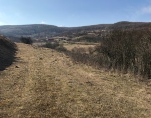 Terrain à vendre dans Cluj-napoca