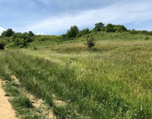Terrain à vendre dans Cluj-napoca