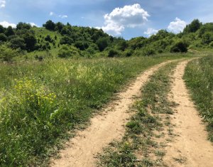 Terrain à vendre dans Cluj-napoca