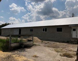 Ipari helyiség eladó on Cluj-napoca