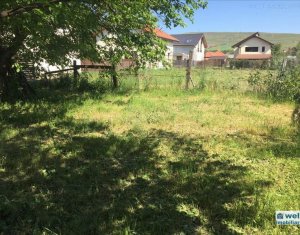 Terrain à vendre dans Cluj-napoca