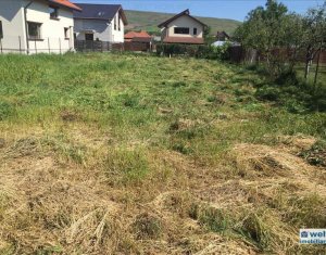 Terrain à vendre dans Cluj-napoca