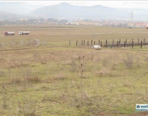 Terrain à vendre dans Cluj-napoca