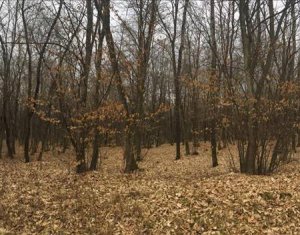 , 477m2 dans Cluj-napoca