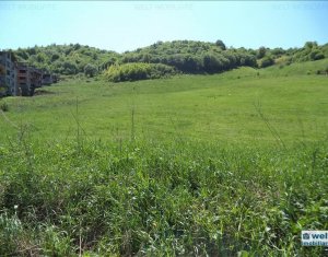 , 5100m2 on Cluj-napoca