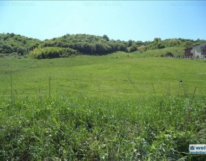 Telek eladó on Cluj-napoca