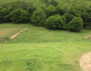 Terrain à vendre dans Cluj-napoca