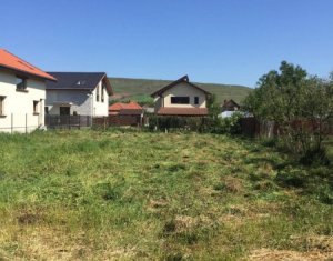 , 1000m2 on Cluj-napoca