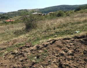 Telek eladó on Cluj-napoca