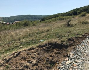 , 6000m2 on Cluj-napoca