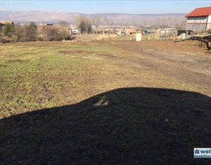 Terrain à vendre dans Cluj-napoca