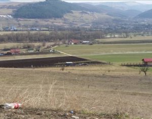 Terrain à vendre dans Cluj-napoca