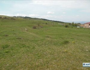 Terrain à vendre dans Cluj-napoca