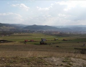, 1500m2 dans Cluj-napoca