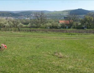Terrain à vendre dans Cluj-napoca