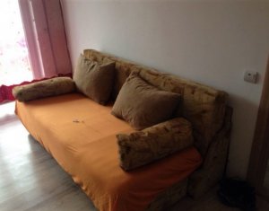 Appartement 1 chambres à louer dans Cluj-napoca