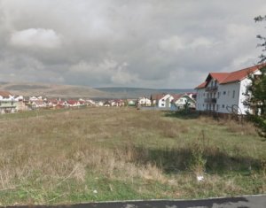 , 1100m2 dans Cluj-napoca