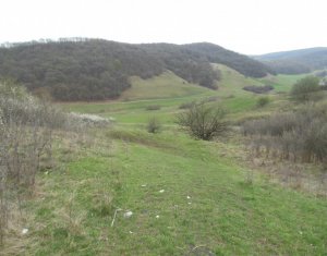 , 1200m2 dans Cluj-napoca